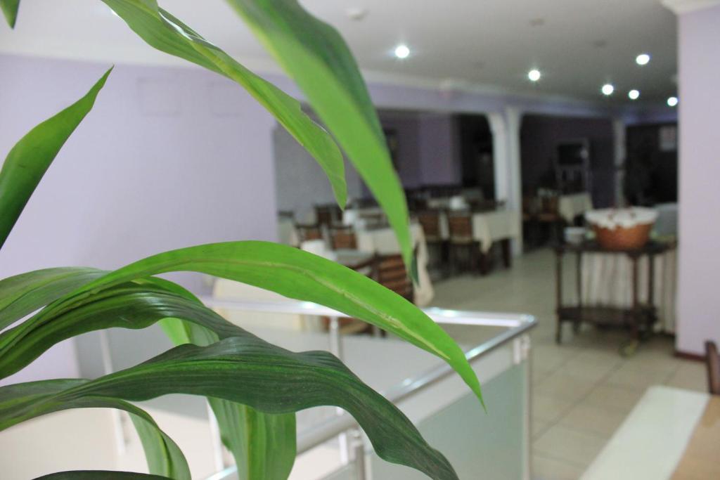 Nazar Hotel Trabzon Luaran gambar
